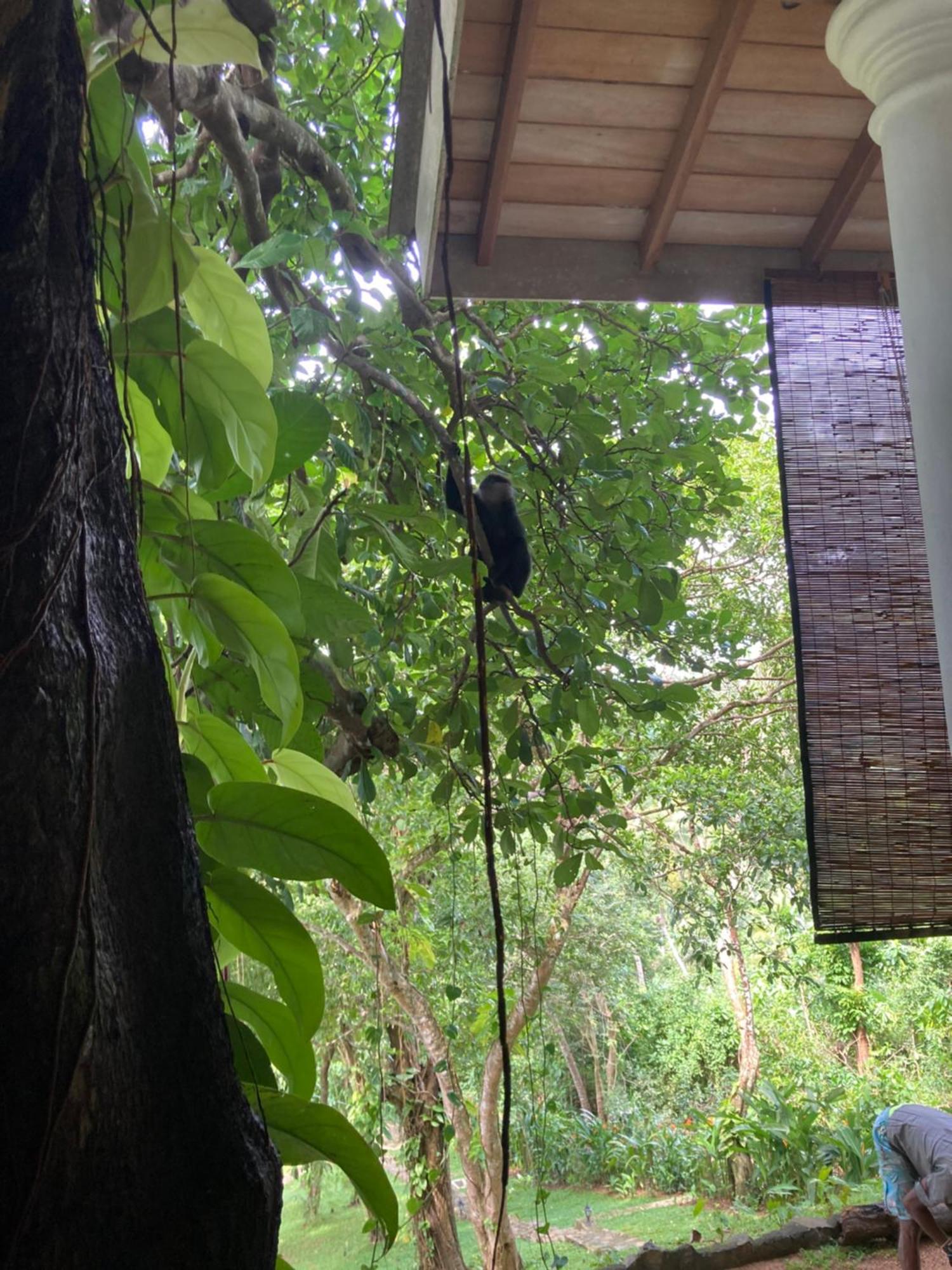 Wija House - Unawatuna Exterior photo